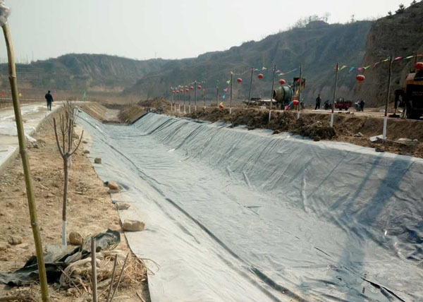 �ӵ��������BĤ